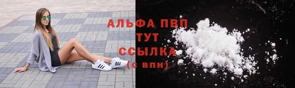 тгк Дмитров