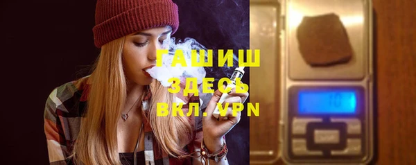 индика Елизово