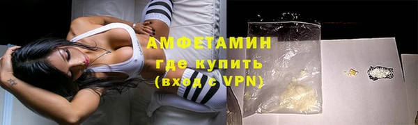 индика Елизово
