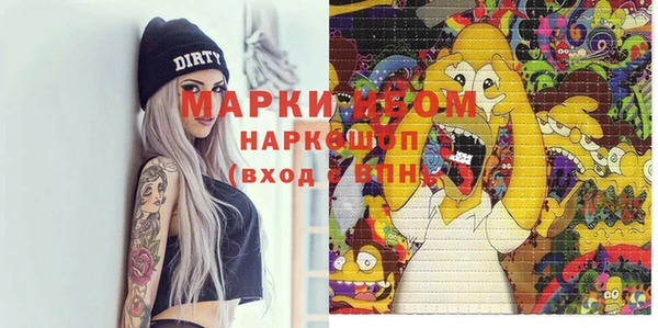 индика Елизово