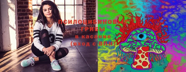 гашиш Ельня