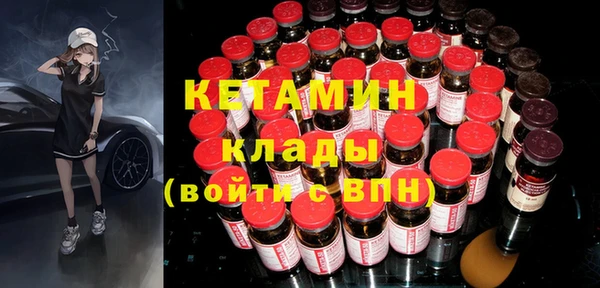 индика Елизово