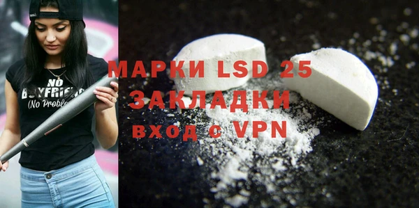 индика Елизово