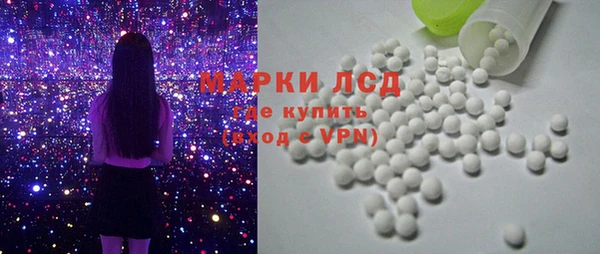 индика Елизово