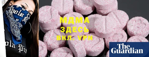 индика Елизово