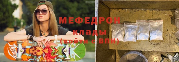 индика Елизово