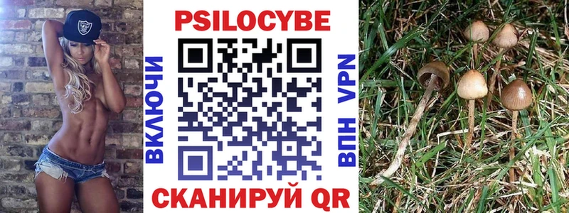 Галлюциногенные грибы Cubensis  блэк спрут зеркало  Вихоревка  что такое  